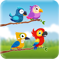 Bird Sort Colour Puzzle MOD APK