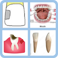 Dentistry Lord MOD APK