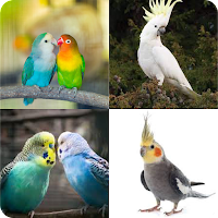 Find Bird Name MOD APK